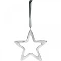 Floristik24 Stella in metallo da appendere, Decorazione dell&#39;Avvento, Ciondolo natalizio argento 14×14cm