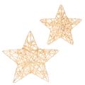 Floristik24 Set di stelle decorative in filo metallico, due misure, 10 cm, 12 pezzi