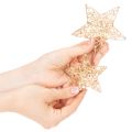 Set di stelle decorative in filo metallico, due misure, 10 cm, 12 pezzi | Floristik24.it