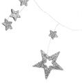 Floristik24 Ghirlanda di stelle 110 cm argento con mica