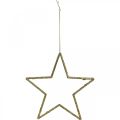 Floristik24 Decorazione natalizia ciondolo stella glitter dorato 17,5 cm 9 pezzi