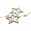 Floristik24 Appendiabiti decorativo in legno stella decorazione natalizia Ø13,5 cm 4 pezzi