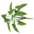 Mazzo di edera dorata artificiale rilegatura verde 40cm | Floristik24.it