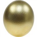 Decorazione uovo di struzzo soffiato decorazione pasquale oro Ø12cm H14cm