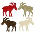 Floristik24 Decorazione da controllare Moose Wood marrone, bianco, rosso 4cm 72 pezzi