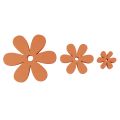 Floristik24 Decorazione sparsa fiori in legno fiori d&#39;arancio estivi Ø2–6cm 20pz