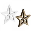 Floristik24 Decoro stelle in legno spruzza Natale bianco/natura 3,5cm 48p
