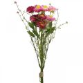 Rhodanthe rosa-rosa, fiori di seta, pianta artificiale, mazzo di fiori di paglia L46cm