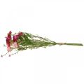 Floristik24 Rhodanthe rosa-rosa, fiori di seta, pianta artificiale, mazzo di fiori di paglia L46cm