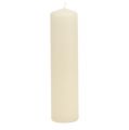 Floristik24 Candele a colonna crema Candele dell&#39;Avvento candele 200/50mm 24 pezzi