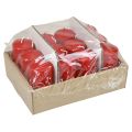 Candele a colonna H100 Ø50cm candele rosse 12 pezzi | Floristik24.it