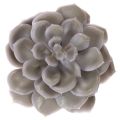 Decorazione con fiori