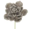 Floristik24 Pianta grassa artificiale in cera con filo metallico, 8 cm, 8 pezzi