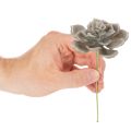 Pianta grassa artificiale in cera con filo metallico, 8 cm, 8 pezzi | Floristik24.it