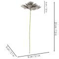 Pianta grassa artificiale in cera con filo metallico, 8 cm, 8 pezzi | Floristik24.it