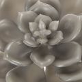 Pianta grassa artificiale in cera con filo metallico, 8 cm, 8 pezzi | Floristik24.it
