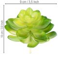Pianta succulenta artificiale, verde, decorativa per ciotola o vaso, 10 cm, 4 pezzi | Floristik24.it
