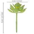 Pianta succulenta artificiale verde come decorazione per composizioni creative. | Floristik24.it
