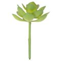 Pianta succulenta artificiale verde come decorazione per composizioni creative. | Floristik24.it