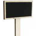 Floristik24 Tavola di legno da incollare, cartello pianta, tavola per il ritorno a scuola, decorazione da tavola per matrimonio 9×4,5 cm L19,5 cm 12 pezzi