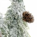 Floristik24 Abeti con neve, decorazione dell&#39;Avvento, foresta d&#39;inverno L16,5 cm H28 cm
