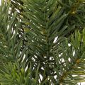 Ghirlanda artificiale di abete verde per decorazione della porta, 35 cm | Floristik24.it