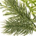 Ramo di abete artificiale per decorazioni festive, 22 cm, 2 pezzi | Floristik24.it