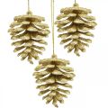 Floristik24 Ornamenti per l&#39;albero di Natale coni decorativi glitter oro H7cm 6pz