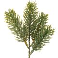 Floristik24 Rami artificiali di abete verde per decorazioni invernali, 25 cm, 24 pezzi
