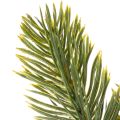 Rami artificiali di abete verde per decorazioni invernali, 25 cm, 24 pezzi | Floristik24.it