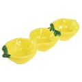 Floristik24 Ciotole per tapas in ceramica decorazione da tavola al limone 28,5 cm H4 cm