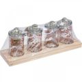 Floristik24 Barattoli da tè barattolo in vetro con coperchio barattoli per spezie 4 pezzi su vassoio