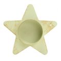 Floristik24 Portacandelina stella da attaccare crema 9x23,5cm 1p