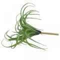 Aloe artificiale pianta artificiale verde per attaccare pianta verde 38Øcm