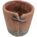 Floristik24 Fioriera in cemento fioriera vaso in terracotta Ø13cm H13cm