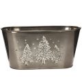 Floristik24 Fioriera ovale con decorazione a rilievo di abete, 25 cm