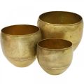 Floristik24 Vasi decorativi vasi in metallo effetto ottone Ø17,5/15/13 cm set di 3