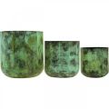 Floristik24 Fioriera vaso da fiori in metallo verde Ø26cm/20cm/16cm set di 3