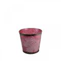 Floristik24 Vaso decorativo per piantare, secchio di latta, decorazione in metallo con motivo a foglia rosso vino Ø14cm H12,5cm
