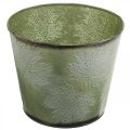 Floristik24 Fioriera, vaso in metallo con foglie d&#39;acero, decorazione autunnale verde Ø25.5cm H22cm