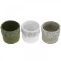 Floristik24 Vaso in ceramica, vaso di fiori con decoro in quercia, vaso per piante verde / bianco / grigio Ø13cm H11.5cm set di 3