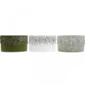 Floristik24 Fioriere con ghiande e foglie, fioriera in ceramica verde, bianco, grigio Ø17cm H9,5cm set di 3