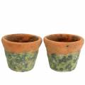 Floristik24 Vaso per piante vintage in argilla naturale Ø14.5cm H12cm 2 pezzi