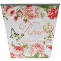 Floristik24 Fioriera vintage, vaso decorativo, fioriera rose H13cm W13.5cm