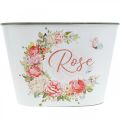 Floristik24 Fioriera, vaso decorativo rose, fioriera L19cm H12.5cm