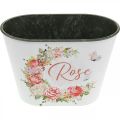 Floristik24 Fioriera, vaso decorativo rose, fioriera L19cm H12.5cm
