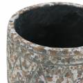 Floristik24 Vaso per fioriera in cemento antico grigio / bianco Ø11cm H10,5cm 6 pezzi