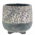 Floristik24 Vaso per fioriera in cemento antico grigio / bianco Ø11cm H10,5cm 6 pezzi
