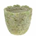 Floristik24 Vaso per piante verde Ø15,5cm H15cm