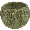 Floristik24 Fioriera in cemento aspetto antico verde, vaso per piante marrone rotondo Ø15,5 cm
